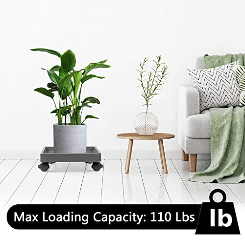 Skelang Square Wheeled Plant Dolly - ABS Planter Trays, Heavy Duty, Load Capacity 110 Lbs - size: Pack of 1 (11")