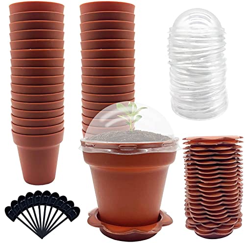 30 Pack Cupcake Plant Nursery Pots with Humidity Dome, Mini Flower Pot - color: 30 Packs