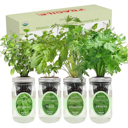 Hydroponic Herb Growing Kit Set, Self-Watering Mason Jar Herb Garden Starter Kit Indoor, Grow 4 Kinds of Herbs from Seeds (Cilantro,Basil,Parsley&Oregano) - color: Cilantro,Basil,Parsley&Oregano