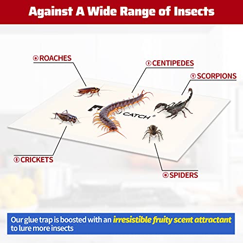 LULUCATCH Cricket Insect Glue Traps - 12 Pack Bug Cockroach Sticky Traps, Large Spider Trap with Pre-Baited Attractant, Highly Effective Glue Boards Indoor, Non-Toxic Pet Safe, Easy to Use - size: 12 Pack