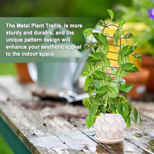 17.5 inch Small Trellis for Potted Plants, Metal Plant Trellis Indoor - color: Ladder-Metal