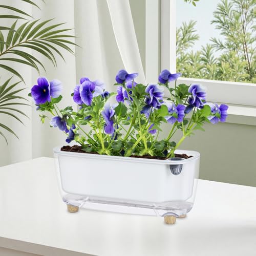 Oliz Self-Watering Planter with Coco Coir, Clear Modern Rectangular Pot