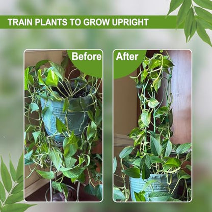 Plant Support Stakes for Indoor Plants, 2-Pack Plant Trellis, Green - color: Green