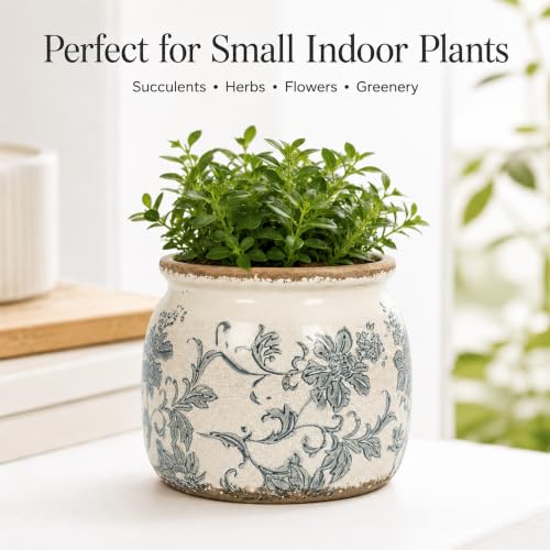 Dosayes Flower Pot,Vintage Ceramic Pot for Plant with Drainage Holes - color: Lias