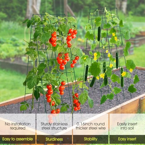 RIFNY Cucumber Trellis for Raised Bed, Garden Trellis 16.5 x 60 Inch, Green - color: Green, size: 16.5 x 60 Inch