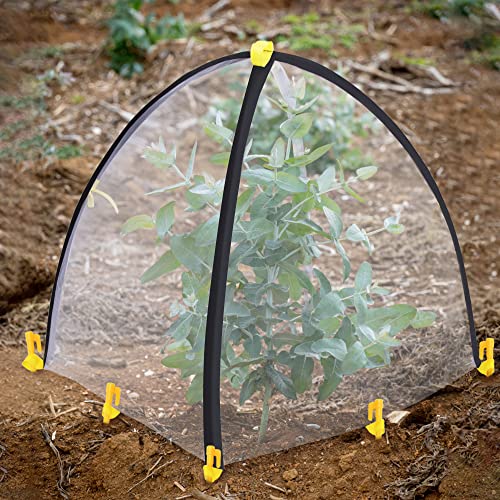 PURPLE STAR 1N 28 x28 x 33 Inch Insect Barrier Plant Tent Cover-Pest Guard Cover-Bird Barrier Netting Mesh with Stakes for Protect Plants Fruits Flower from Insect Bird Eating (1, M) - color: M