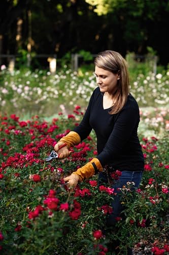 FELCO Model 705 Rose Gloves - Medium Premium Puncture Resistant Leather Gloves Suede Gantlet Cut Rose Pruning Cutting Snipping Horticultists Florists Gardeners Specialist Rose Cultivators - size: Medium