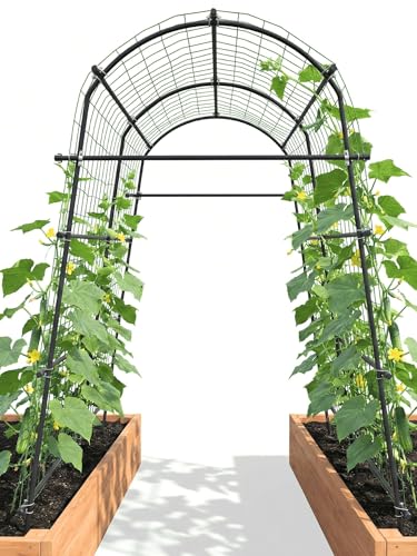 7FT Tall Heavy-Duty Metal Garden Arch Trellis for Climbing Plants Outdoor - size: 71"L×70"W×82"H