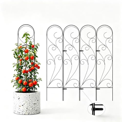 Zhongma 4 Pack 36" Metal Plant Trellis for Potted Plants Climbing,Indoor and Outdoor Fence Plant Support Trellis for Flower and Vagetable - size: 8"W x 36"H (4 Pack)