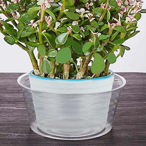 Idyllize 10 Pieces of 8 Inch Clear Thin Deep Plastic Plant Saucer Drip Tray for Pots (8'') - size: 8''