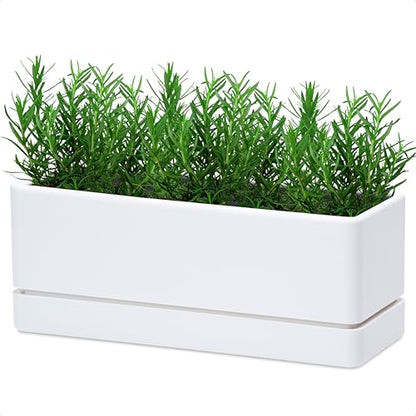 D'vine Dev Rectangular Planter, 12 x 4.5 in, White, Set of 1, 76-X-A-1 - color: White