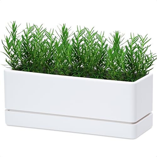 D'vine Dev Rectangular Planter, 12 x 4.5 in, White, Set of 1, 76-X-A-1 - color: White