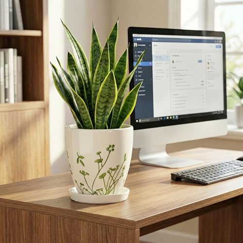 MPotTo 6 Inch Plant Pot, Ceramic Pots for Plants, Grasses White - color: Grasses White, size: 6 Inch