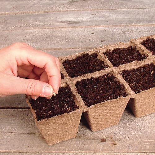 Jiffy Seed Starting Strips - Biodegradable, Plant Starter Pots, 10 Cell, 50 Strips - Peat - color: 50 Strips (500 Cells Total)