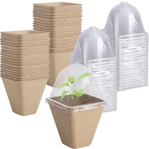 Purple Star 40 Pcs Starter Pots for Planting Seeding- 3.1 Inch Square Planter Nursery Pot with Humidity Dome- Biodegradable Peat Pots for Seedlings Garden Vegetable Flower Germination - color: L-40pcs