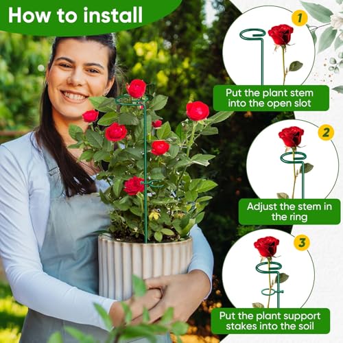HiGift 17 inch Plant Support Stakes, 4mm Thick Garden Single Stem Flower Support Stake Amaryllis Plant Cage Support Rings with 10 pcs Plant Clips for Tomato Orchid Lily Peony Rose Flower Stem-5 Pack - size: 17 Inch-5 Pack