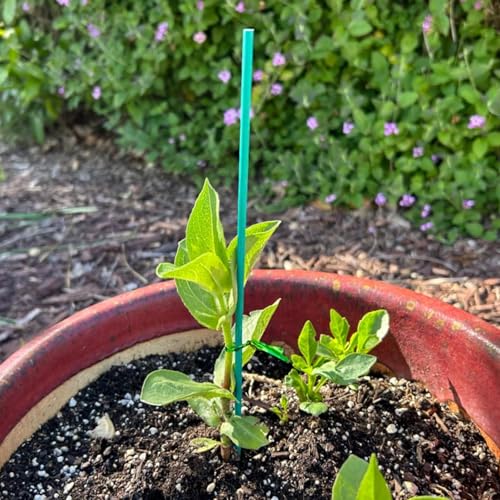 RONYOUNG 100 Pieces Green Bamboo Plant Stakes with 100 Pieces Orchid Clips and 100 Metallic Twist Ties for Supporting Stems Vines Stalks Grow Upright