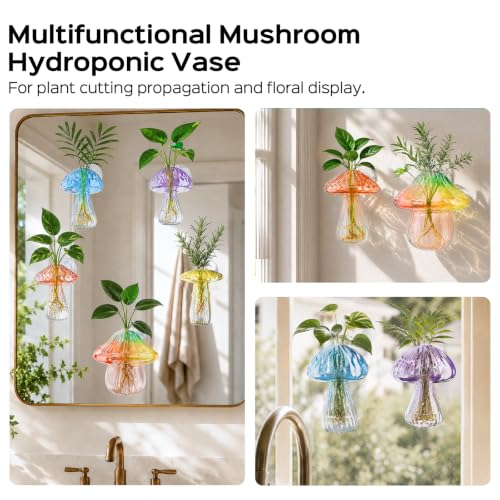 5Pcs Mushroom Propagation, Borosilicate Glass Vases, 6kg Suction Cups - color: Blue,yellow,purple,coffee,rainbow