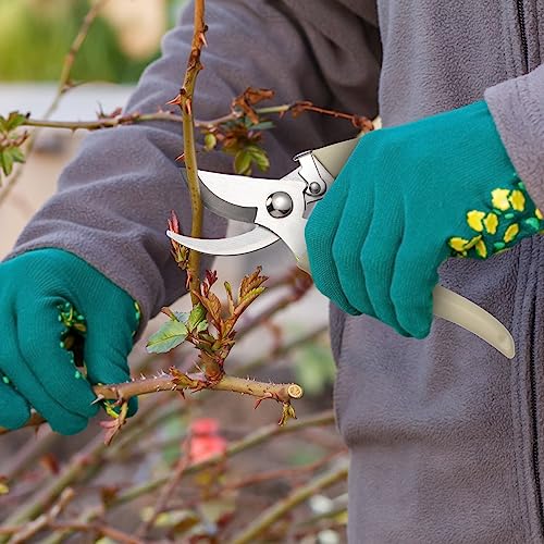 Therwen 12 Pcs Garden Shears Flower Scissors Pruning Shears Floral Garden Clippers Hand Pruners Branch Cutter Gardening Tools for Plants Cutting, Trimming, Fruits Picking (Beige,Bypass) - style: Beige, Bypass