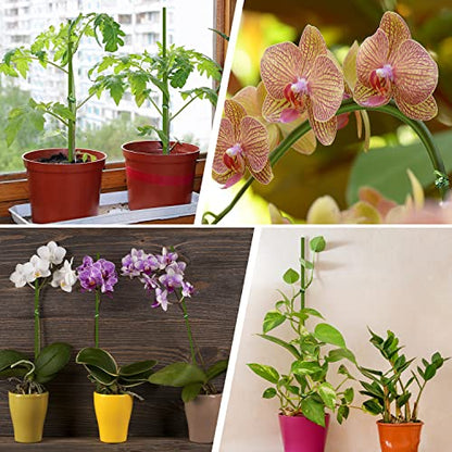 10Pcs Plant Stakes, 15IN Orchid Support Stakes for Indoor Plants - size: 15 Inches