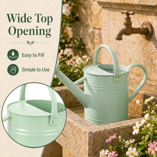 1 Gallon Metal Watering Can for Indoor Outdoor Plants, Pale Mint - color: Pale Mint