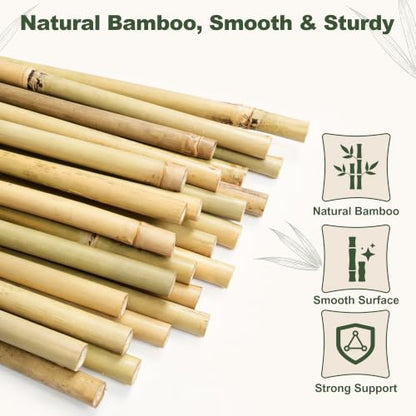 Natural Bamboo Poles, 2 Feet Bamboo Sticks for Plants, Wood Garden Stakes for Tomato, Bean, Flowers, Trees Potted and Climbing Plants, 25 Pack - size: 2FT-25PCS