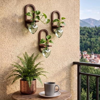 Hushee 3 Set Plant Propagation Station for Wall Hanging with Wooden Stand