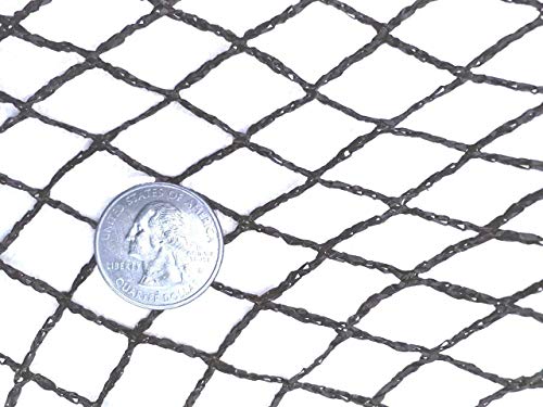Green Vista 1/2 Inch Commercial Quality Bird Barrier Netting 20x10 Feet - Protects Vegetables, Fruit Trees, Berry Shrubs, Flowers - Small Mesh Size, Heavy Duty, UV Resistance, Steel Stakes