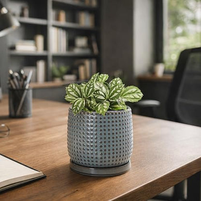 D'vine Dev Beaded Ceramic Pot with Saucer, 4 in, Graphite Blue, 27-C-Z-9 - color: Graphite Blue, size: 4.3 Inch