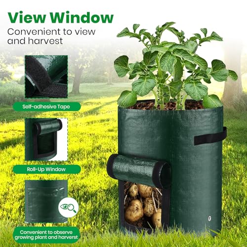 6 Pack Potato Grow Bags, 10 Gallon Planting Bags Durable PE Vegetable Planter with Flap and Handles Large Garden Pot Tall Potato Growing Containers for Vegetables, Fruits and More - size: Green-6 Pack