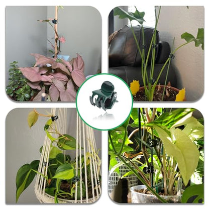 70 Pcs Plant Clips Orchid Clips Plants Orchid Support Clips Flower Vine Clips for Supporting Stems Vines Stalks Climbing Plant Grow Upright