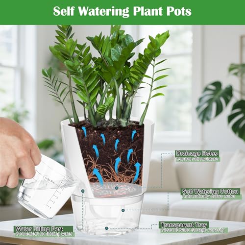KIMCHOMERSE Self Watering Plant Pots, 6 Inch Indoor Plant Pots 3 Pack White - color: White, size: 6 Inch Set of 3