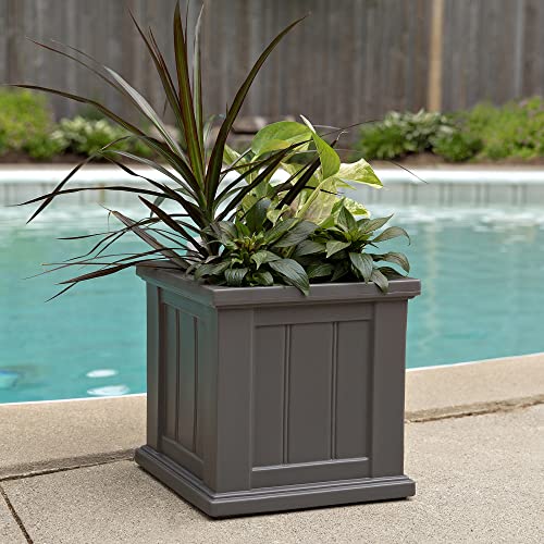 Mayne Cape Cod 14in Square Planter - Graphite Grey - 14in x 14in x 14in - Polyethylene - Built-in Water Reservoir (4836-GRG) - color: Graphite Gray, size: 14in