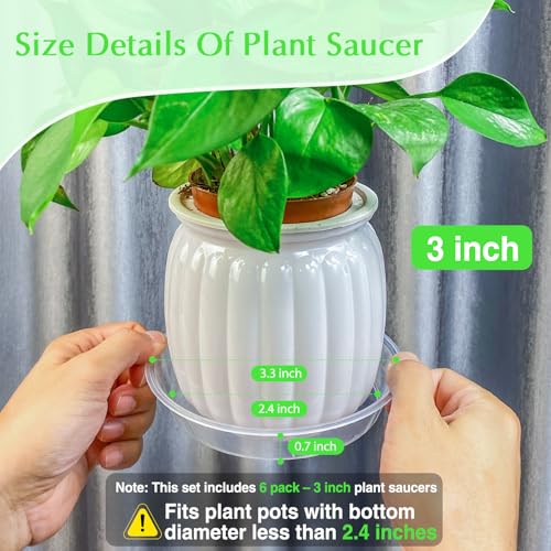 FUIJOL 6 Pack Clear Plant Saucer, Durable Plant Drip Trays Saucers for Pots, No Holes Water Catcher Trays for Indoor Outdoor Planter, Sturdy Base Plate (Clear, 3"-6Pack) - size: 3"-6Pack