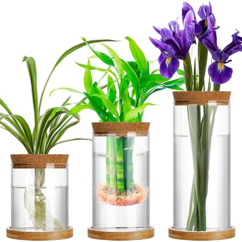 Maxcheck 3 Pcs 3 Sizes Plant Propagation Station Separated Glass Plant Terrarium Water Hydroponic Planter Holder with Lid and Wooden Stand Propagation Vase Pot for Home Indoor Office(Various Sizes) - size: Various Sizes
