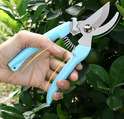 5pcs Garden Flower Shears Pruning Shears 6.9 inches Scissors Heavy Duty Plant Scissors for Cutting Flowers, Trimming Plants, Bonsai, Fruits Picking (Blue Handle 5pcs) - style: Blue Handle 5pcs