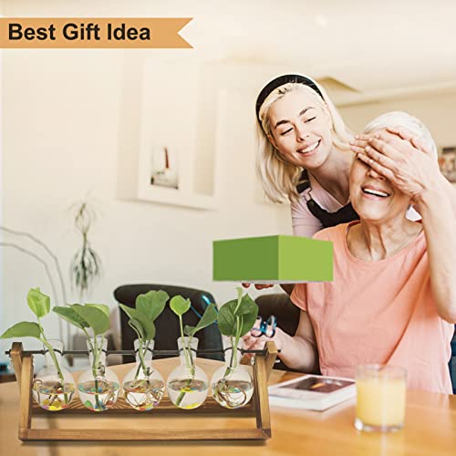 Renmxj Plant Propagation Stations with Wooden Stand & 5 Glass Bulb Vases - size: 5 Bulb Vase