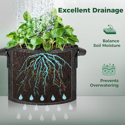 T4U Grow Bags 3 Gallon 5 Pack, Fabric Pots for Outdoor Garden Plants - size: 3 Gallon-5 Packs