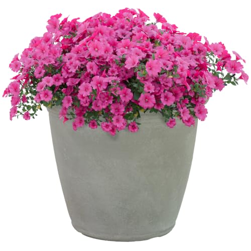 Sunnydaze Anjelica 15.25'' Large Plastic Planter Pot for Plants, Gray - color: Light Gray, size: 15.25 in