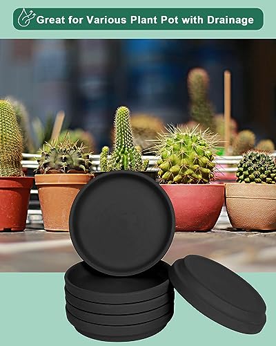 vensovo 6 Inch Black Terracotta Plant Saucers, 6 Pack Small Clay Trays - color: Black, size: 6 inch