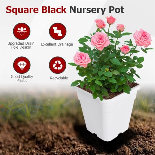 findmall 3 Gallon Square White Nursery Pots Plant Pots Grow Pots Nursery Container for Planting Soil Plants 10 Pcs - color: White, size: 3 Gallon