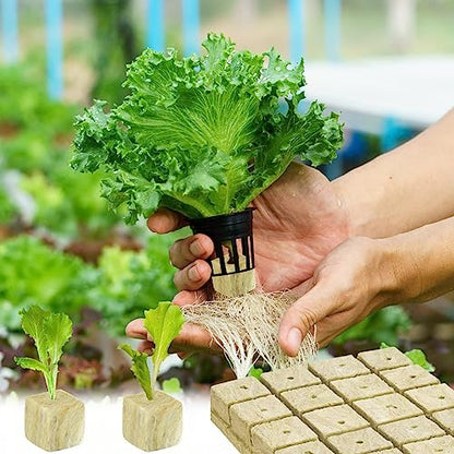 Halatool 1.2 in Rockwool Cubes for Hydroponics, 72 Plugs Seed Starter Cubes - color: 2 Sheets, size: 1.2" Cubes