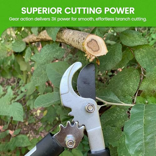 GARDEN GURU Bypass Loppers Tree Trimmer Clipper - 3X Cutting Power Gardening Loppers Pruning Shear -Comfort Grip Handles -High Carbon Steel Blade – Heavy Duty Branch Cutter –Cut Thick Branches w Ease - size: 1 Pack, style: Power Bypass Loppers