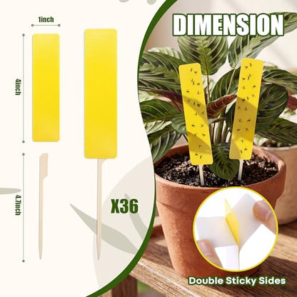 36 PCS Yellow Sticky Traps for Plant Gnats, Fungus Gnat Trap (4" x 1") - color: Yellow