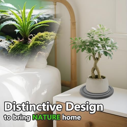 Augshy Plant Saucers, 2 Pack 4 Inch Diatomaceous Earth Instant Dry Tray - size: 4 Inch