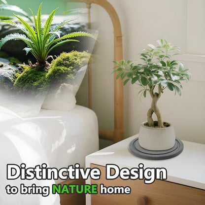 Augshy Plant Saucers, 2 Pack 10 Inch Diatomaceous Earth Instant Dry Tray - size: 10 Inch