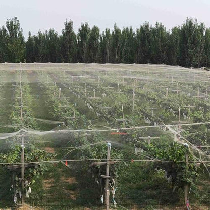 20x75ft/6x23m HDPE Anti Aging Orchard Garden Anti Hail Anti Bird Netting - size: 20 x 75 ft