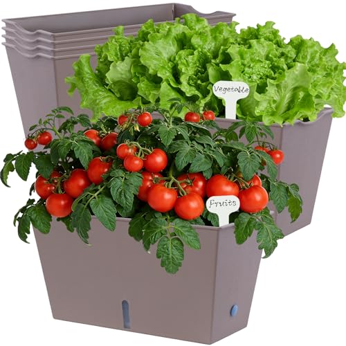 Oliz Window Box Planter 6 Pcs, 12.6 Inches Self Watering Rectangle Flower Plant Pots with Drainage Holes & Breathable Trays, Vegetable Planters for Windowsill Patio Garden Balcony Porch Yard (Khaki) - color: Khaki, size: 12.1*6.4*6.3 inch