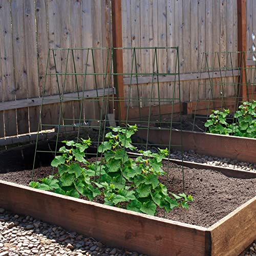 AGTEK 2 Packs 18" x 46" Foldable Cucumber Trellis for Cucumber, Climbing Plants, Vegetable Flowers - size: 36"W x 46"H