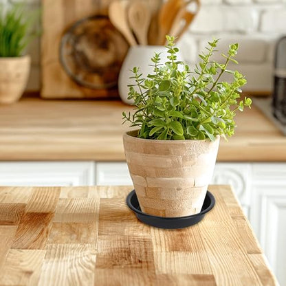 6 Pack 6 Inch Plant Saucer Tray, Heavy Duty Plastic Plant Pots Dray Tray, Black - color: Black, size: 6"(6Pack)